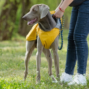 PET PU raincoat